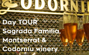 TOUR Sagrada Familia, Montserrat & Codorníu winery