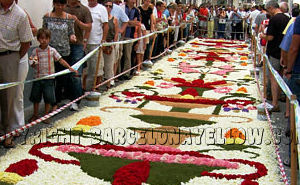 Pictures Sitges Flower Carpet Festival