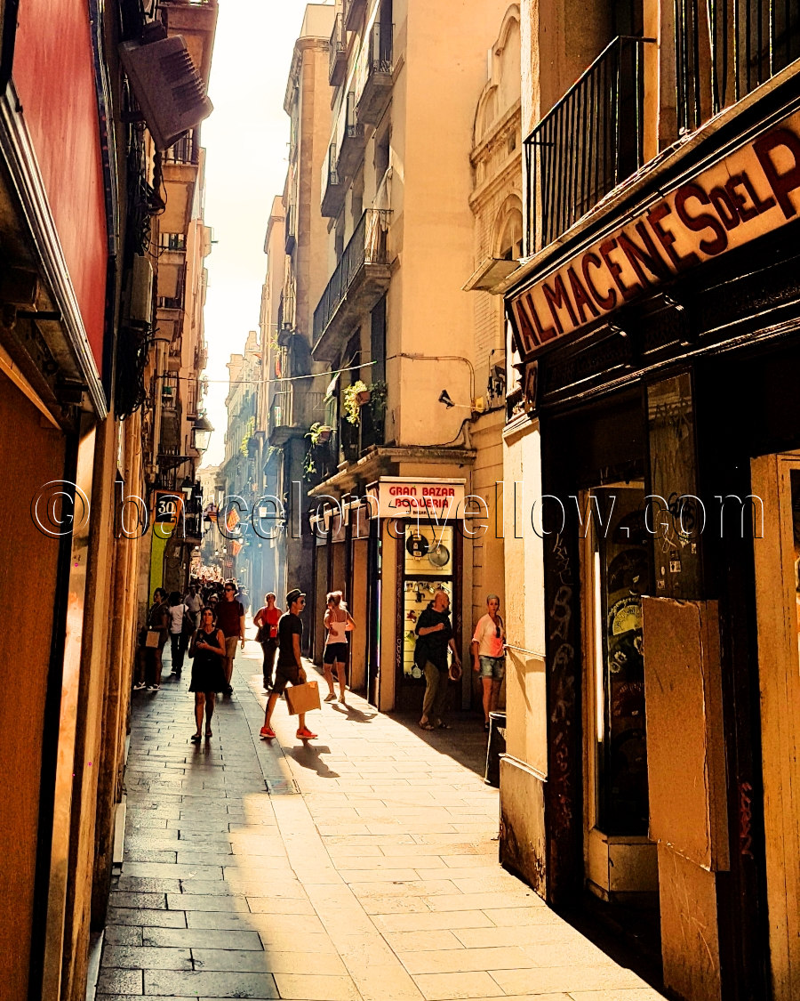 gothic_shops_barcelona