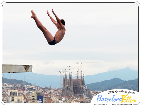 Barcelona 2015 - Olympic diving swimming pool Montjuic