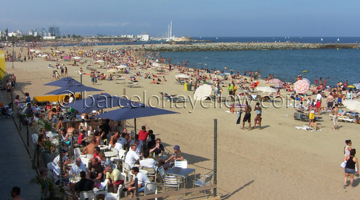 Beach cafes Barceloneta beach 