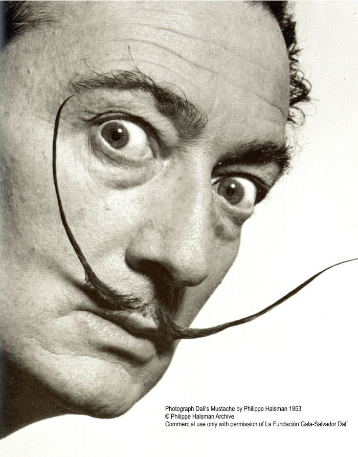 dali_moustache