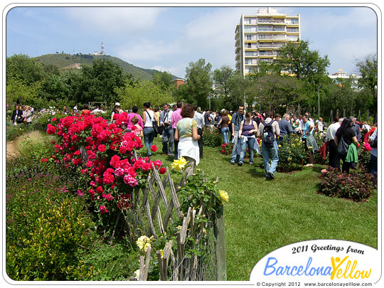 Barcelona Rose Festival - Concurs Internacional de Roses Noves