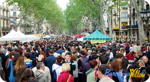 St Jordi Barcelona la rambla