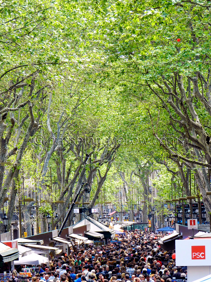 La Rambla street Sant Jordi Barcelona