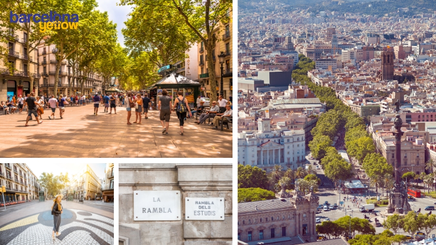 Guide to Passeig de Gràcia in Barcelona - one of Barcelona's most Famous  Streets.